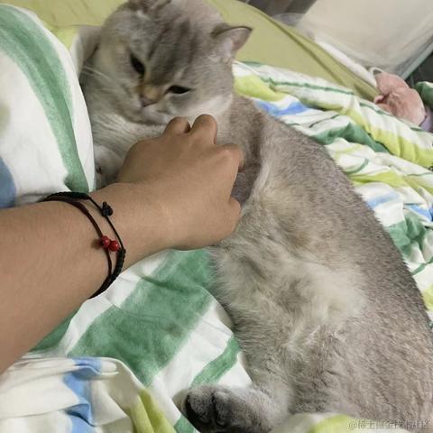 好一个大憨憨于2023-05-16 09:38发布的图片