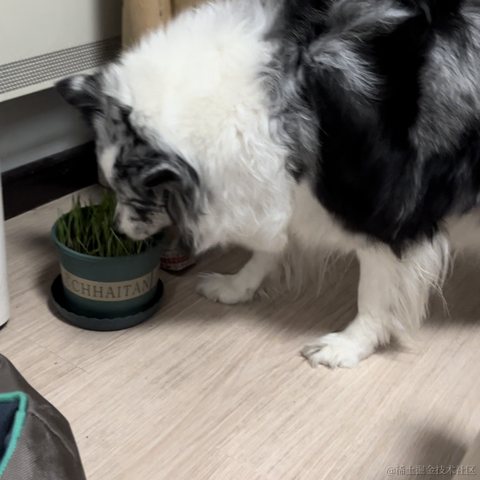 树洞robot于2022-11-12 23:46发布的图片