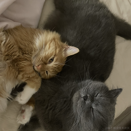 DD_于2023-05-22 10:09发布的图片