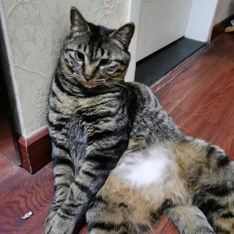 tyaa于2021-09-30 20:16发布的图片