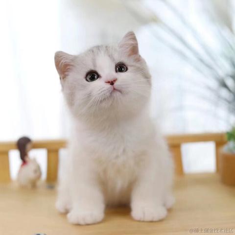 小旭小旭小而含蓄于2021-07-15 07:55发布的图片