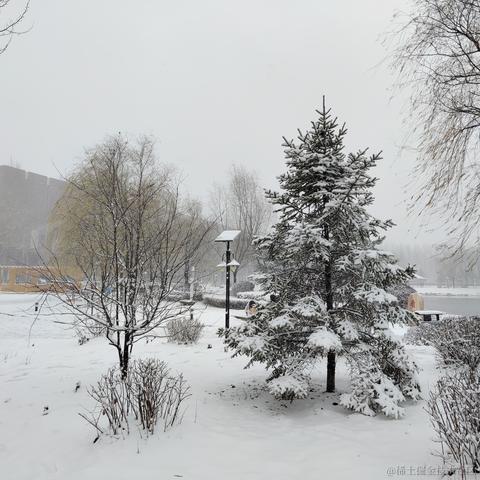 Dianazusa于2022-11-17 08:11发布的图片