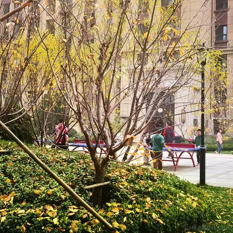 晚晚可爱捏651于2022-11-20 16:26发布的图片