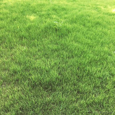 今天也在发疯于2022-11-30 18:29发布的图片