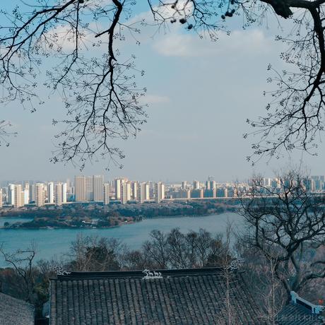 cen姜于2023-01-24 23:47发布的图片