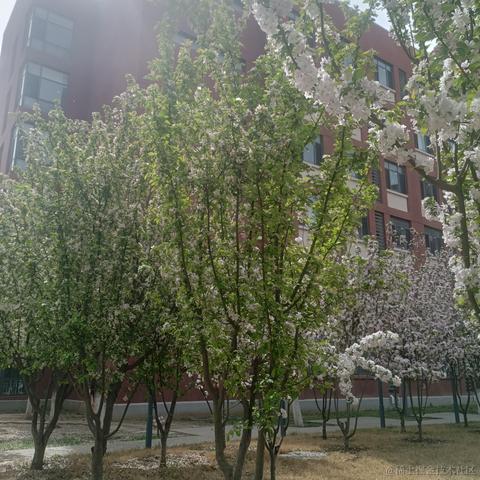 oneelsewillifyoudont于2023-04-11 17:12发布的图片