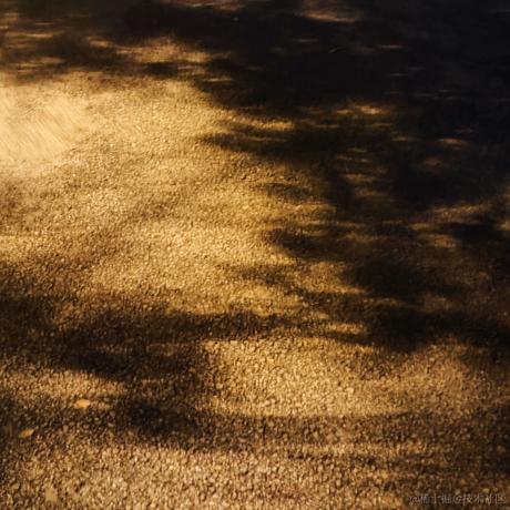 不飞则已一飞于2023-04-20 21:06发布的图片