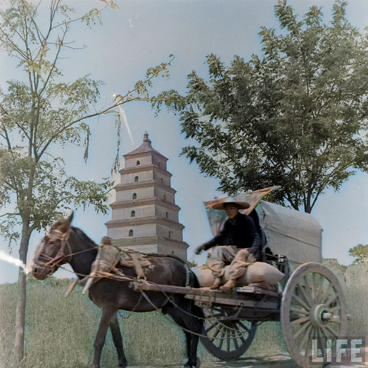1947年，陕西西安。大雁塔。1.png