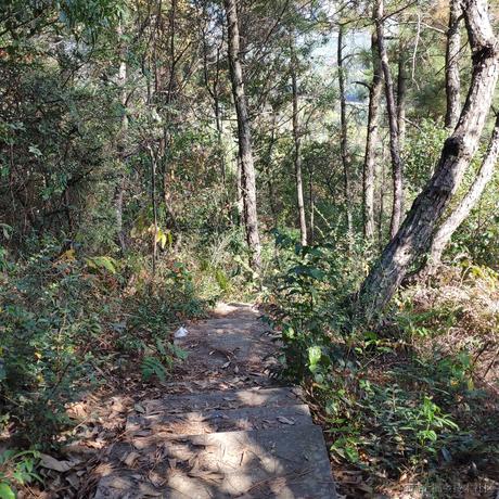 getify于2022-11-06 11:57发布的图片