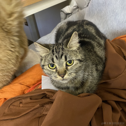 avavaava于2022-11-25 02:36发布的图片