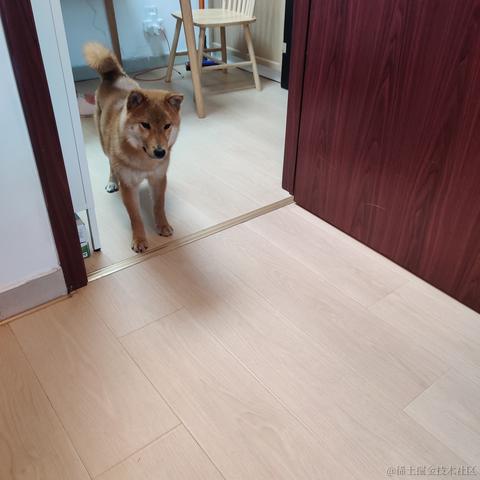 小镇小小侠于2022-03-03 16:20发布的图片