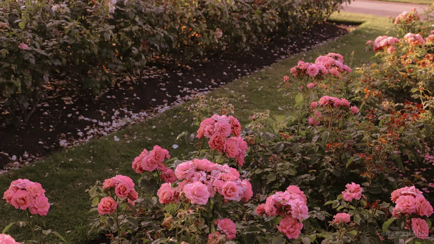 v2-f113cbabc036ec17df1962aebfb6ced9_r.jpg