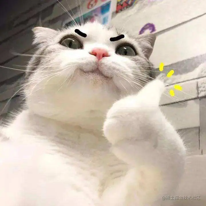 猫猫点赞.jpeg