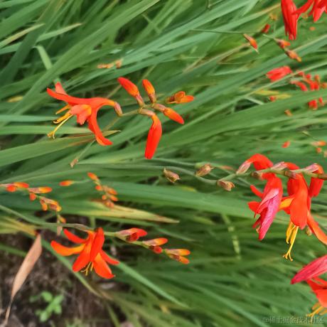 耶耶耶耶cc于2023-07-09 10:24发布的图片