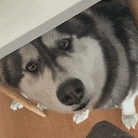 chu_yubo于2023-07-25 20:55发布的图片