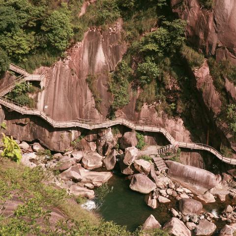 Sarah_于2024-05-22 08:43发布的图片