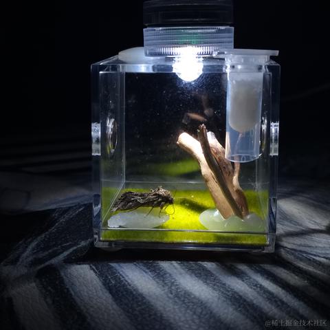 user8167616976815于2022-11-16 12:28发布的图片