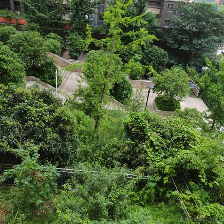 我爱asoul于2023-07-06 18:46发布的图片