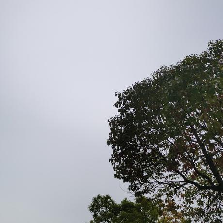 落笔绘然于2022-11-14 22:46发布的图片