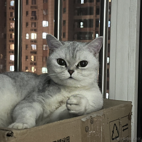 啾啾哼于2023-05-14 08:23发布的图片