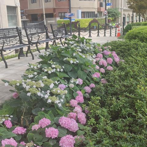 bysking于2023-05-28 15:06发布的图片