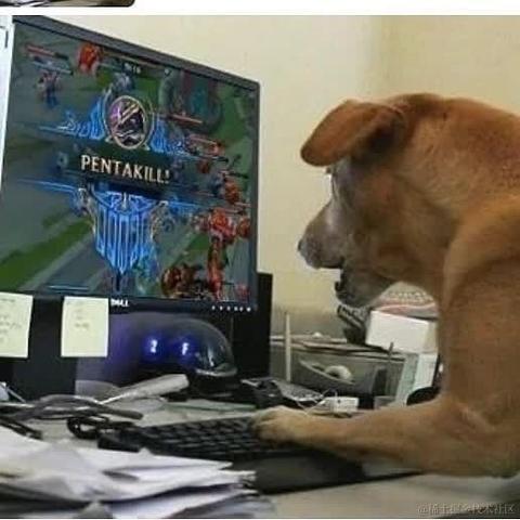 尼古拉斯阿柴于2023-06-01 22:00发布的图片