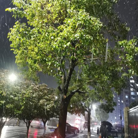 瑟尔于2022-02-22 19:23发布的图片