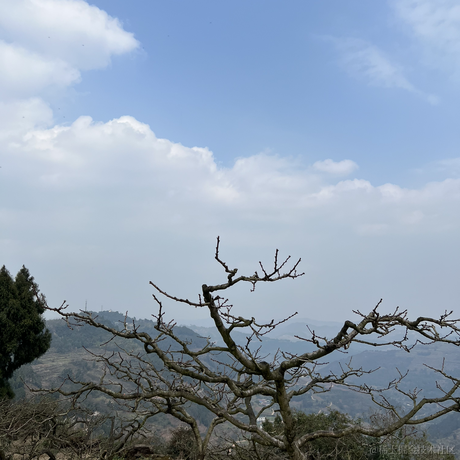 玛卡芭卡于2022-02-27 16:25发布的图片