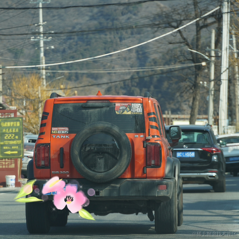 不知道起什么名字啊于2023-03-14 10:34发布的图片