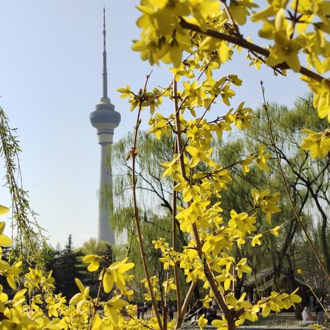 私涙洇于2023-03-29 09:13发布的图片