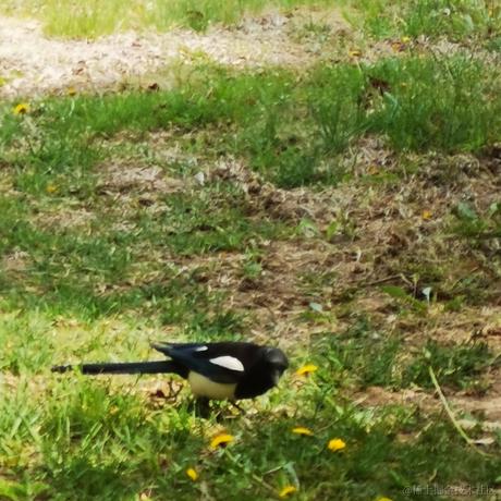 刘笑祎于2023-05-03 22:17发布的图片