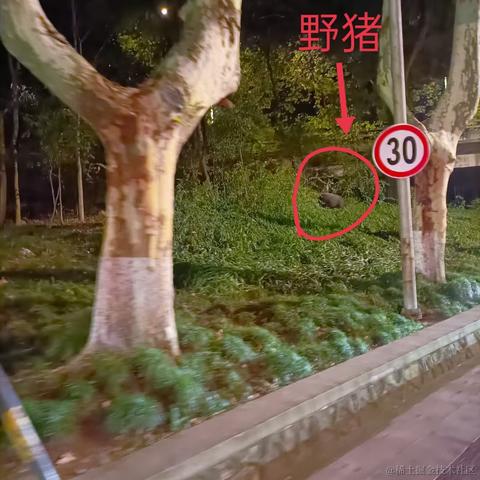 西vvi于2022-10-03 21:57发布的图片