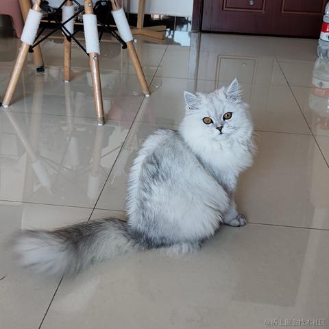 菁芜于2022-03-01 09:32发布的图片