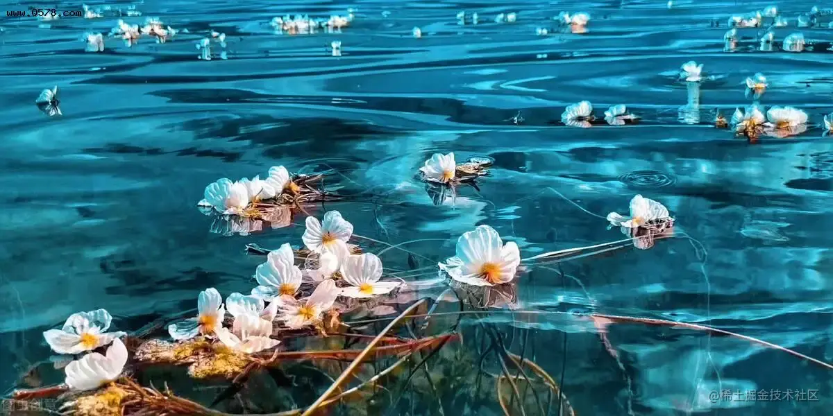 前端