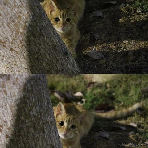 Coca_Cola于2022-12-02 20:30发布的图片