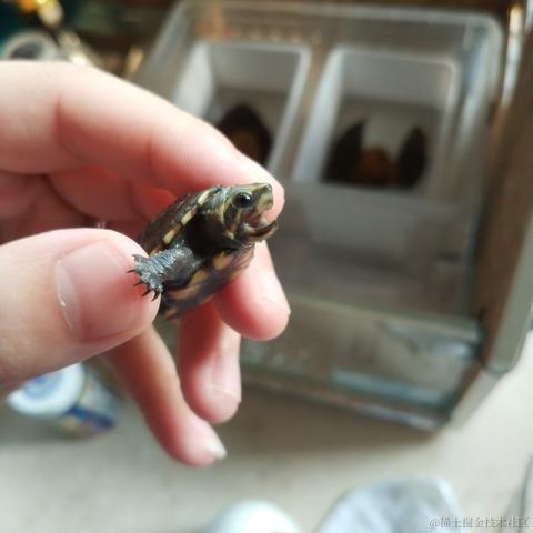 LuerDog于2020-09-09 10:06发布的图片