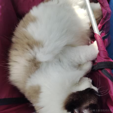 烟火撞星辰于2022-04-25 23:46发布的图片