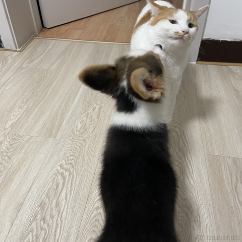 爱吃涮羊肉的Bug开发于2021-10-15 16:26发布的图片