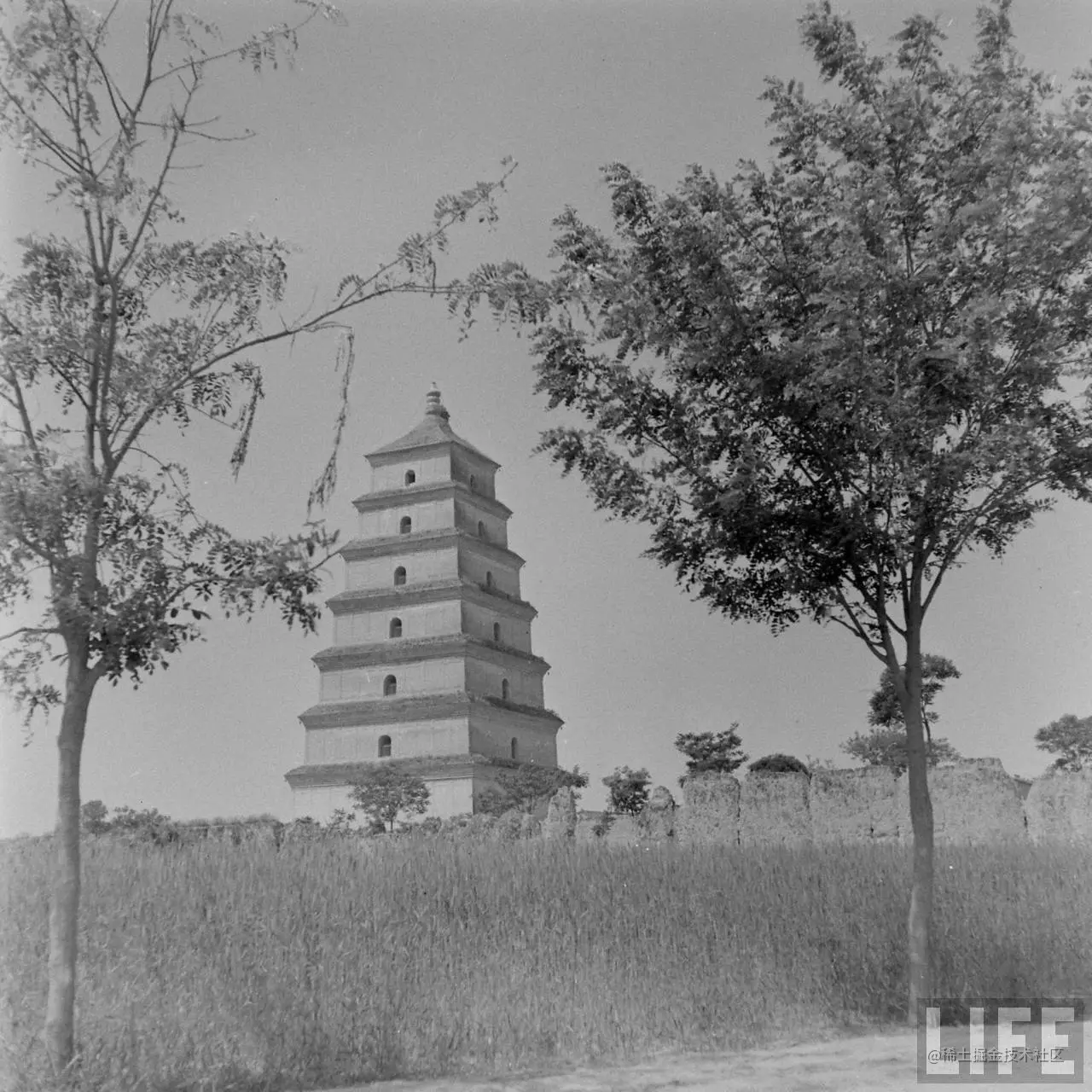 1947年，陕西西安。大雁塔。3.jpg