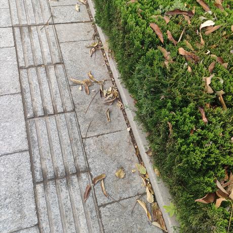 琳带我走吧于2022-11-17 08:05发布的图片