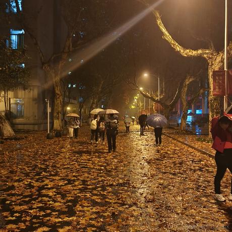 藤君于2022-11-29 08:08发布的图片