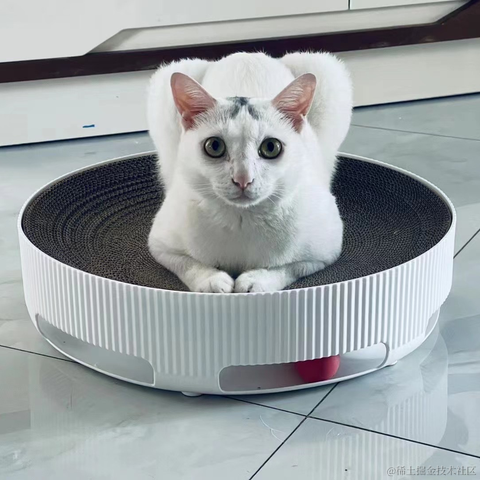 做乜len嘢于2021-09-30 10:13发布的图片