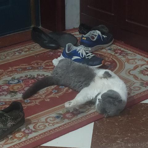 远离那小猫于2022-11-24 19:06发布的图片