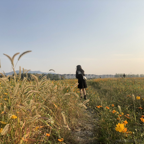 Read62990于2022-11-11 09:35发布的图片