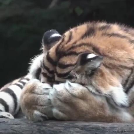 检测科上岸于2022-12-17 10:22发布的图片