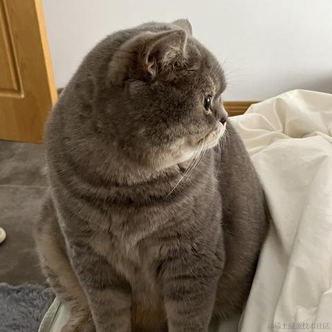 寒霜于2023-05-24 16:14发布的图片