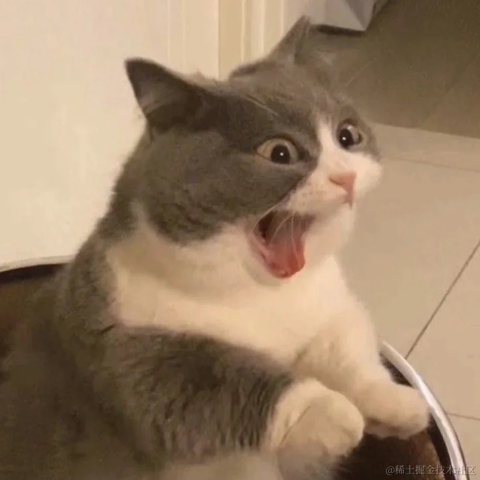 月下小奶猫于2022-09-03 23:20发布的图片