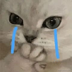 M先生12138于2022-05-06 10:33发布的图片