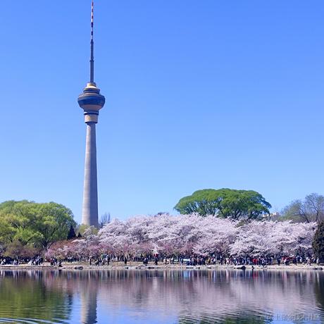 凡繁梵于2023-03-30 15:42发布的图片