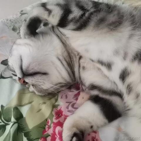 不熬夜多喝水于2023-05-18 14:29发布的图片